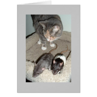 一緒に私達はできます