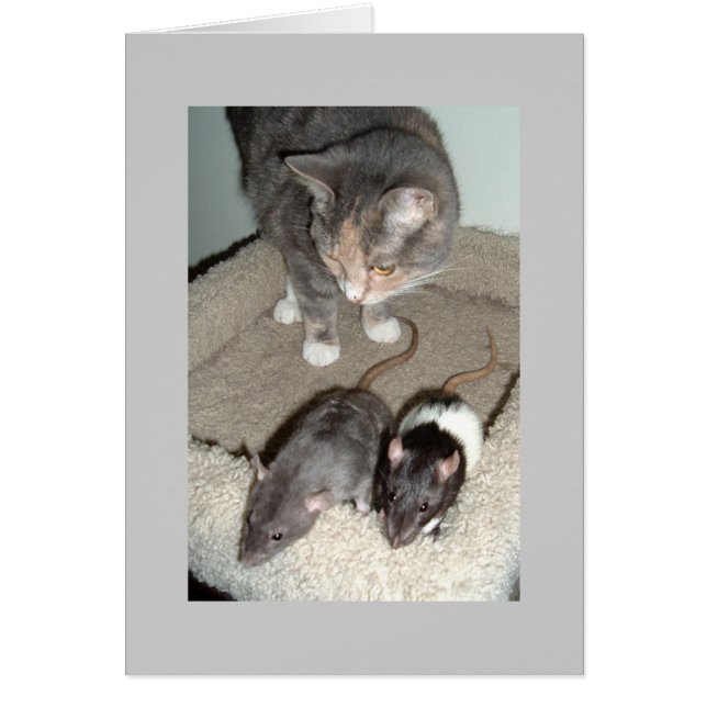 一緒に私達はできます (正面)