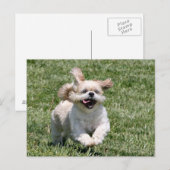 一緒に行こ遊う ポストカード (正面/裏面)