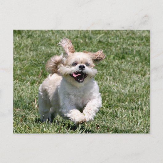 一緒に行こ遊う ポストカード (正面)