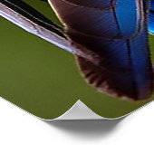 一緒に覆われた色のパロト ポスター (角)