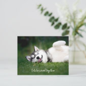 一緒に風変わりいよう ポストカード (スタンド正面)