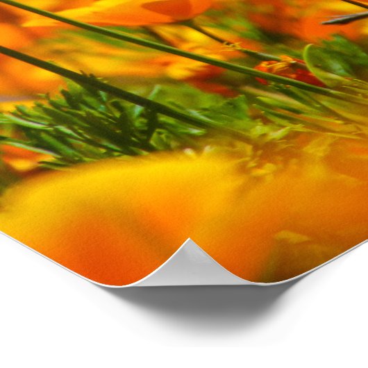 一緒に ポスター (角)