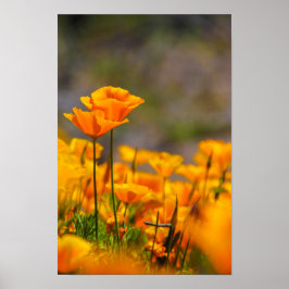 一緒に ポスター