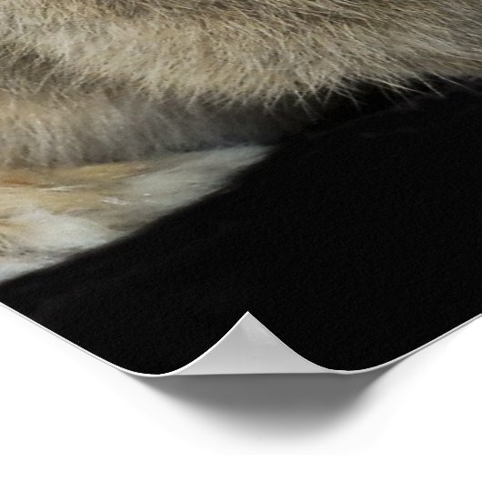 一緒に ポスター (角)