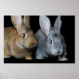 一緒に ポスター