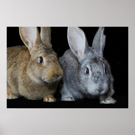 一緒に ポスター (正面)