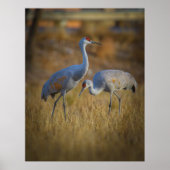 一緒に ポスター (正面)