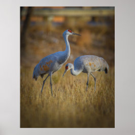 一緒に ポスター