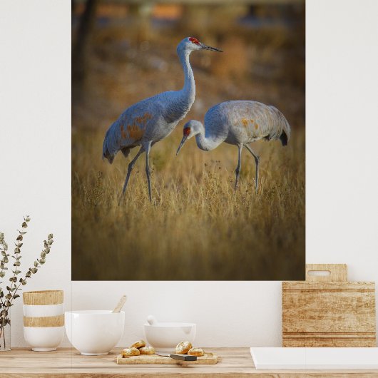 一緒に ポスター (キッチン)