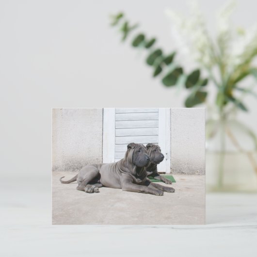 一緒に ポストカード (スタンド正面)