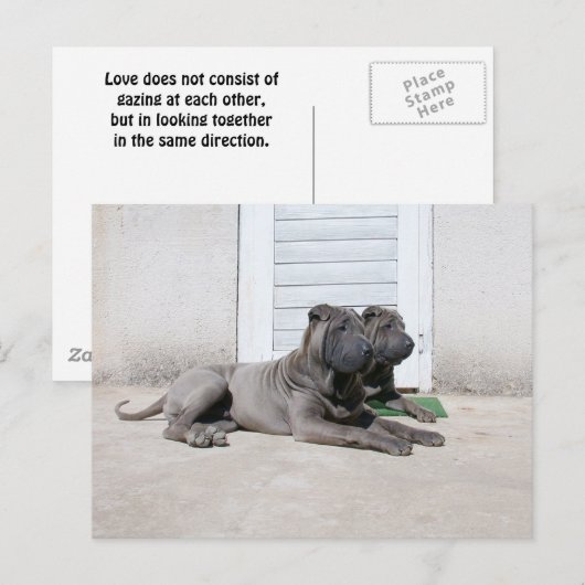 一緒に ポストカード (正面/裏面)