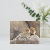 一緒に ポストカード (スタンド正面)