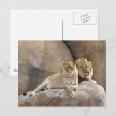 一緒に ポストカード (正面/裏面)