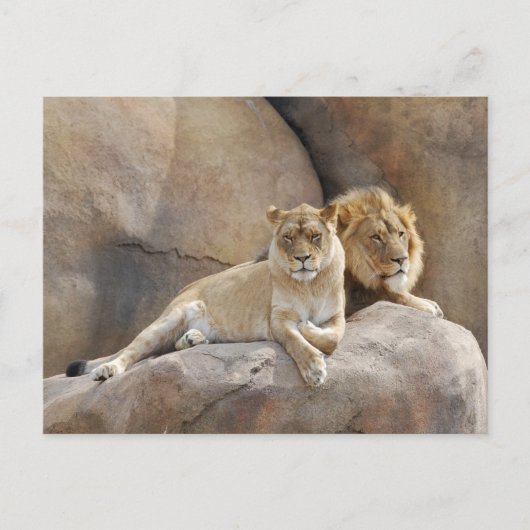 一緒に ポストカード (正面)