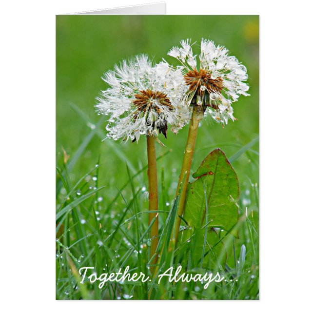 一緒に。常に… (正面)