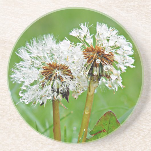 一緒に。常に コースター (正面)