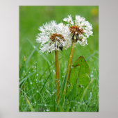 一緒に。常に ポスター (正面)