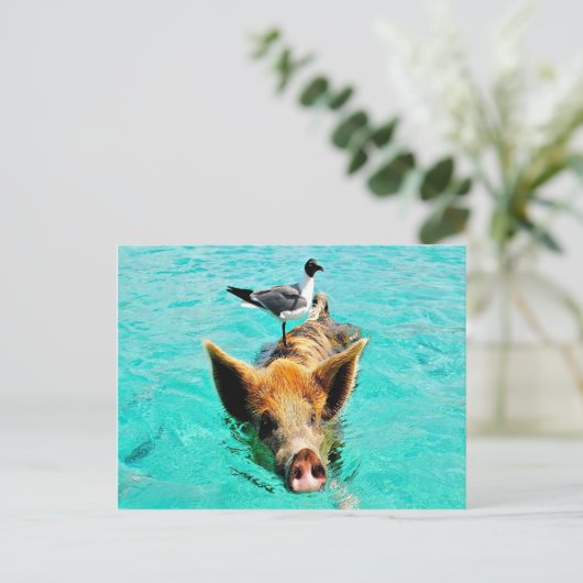 一緒のおもしろいのstanielのキーの水泳のブタのカモメのfis ポストカード (スタンド正面)