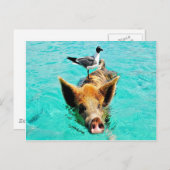 一緒のおもしろいのstanielのキーの水泳のブタのカモメのfis ポストカード (正面/裏面)