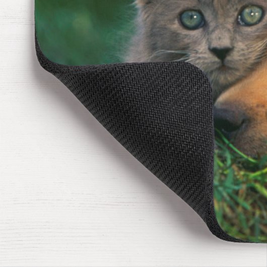 一緒のかわいく小さい子ネコおよび子犬 マウスパッド (コーナー)