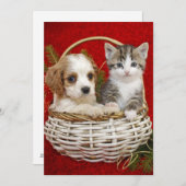 一緒のバスケットのクリスマスの子犬そして子ネコ シーズンカード (正面/裏面)