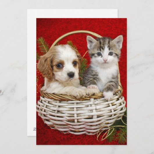 一緒のバスケットのクリスマスの子犬そして子ネコ シーズンカード (正面/裏面)