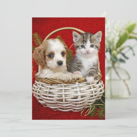 一緒のバスケットのクリスマスの子犬そして子ネコ シーズンカード (スタンド正面)