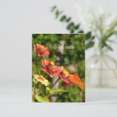 一緒来にピクニックに行く 招待状 (スタンド正面)