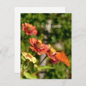 一緒来にピクニックに行く 招待状 (正面/裏面)