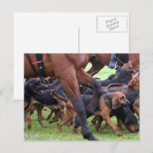 一群の猟犬 ポストカード (正面/裏面)