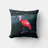 一羽のフラミンゴの鳥 クッション (正面)
