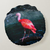 一羽のフラミンゴの鳥 ラウンドクッション (裏面)