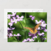 一羽の蝶々の写真アートが変化 ポストカード (正面/裏面)