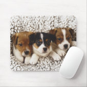 一腹の子犬 マウスパッド (マウス)