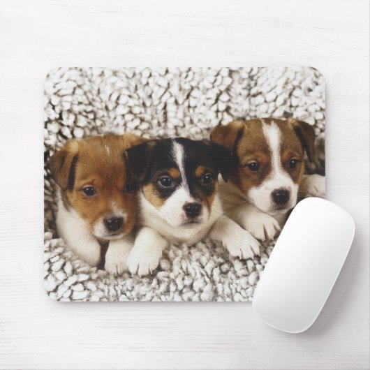 一腹の子犬 マウスパッド (マウス)
