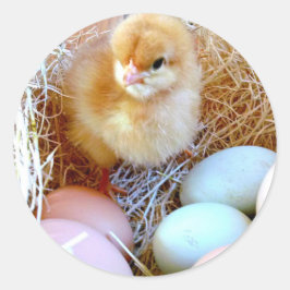 一致するイースターステッカー ラウンドシール