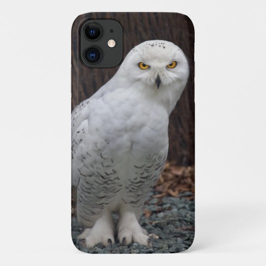 一致するスリッパiPhone 11ケース Case-Mate iPhoneケース (裏面)