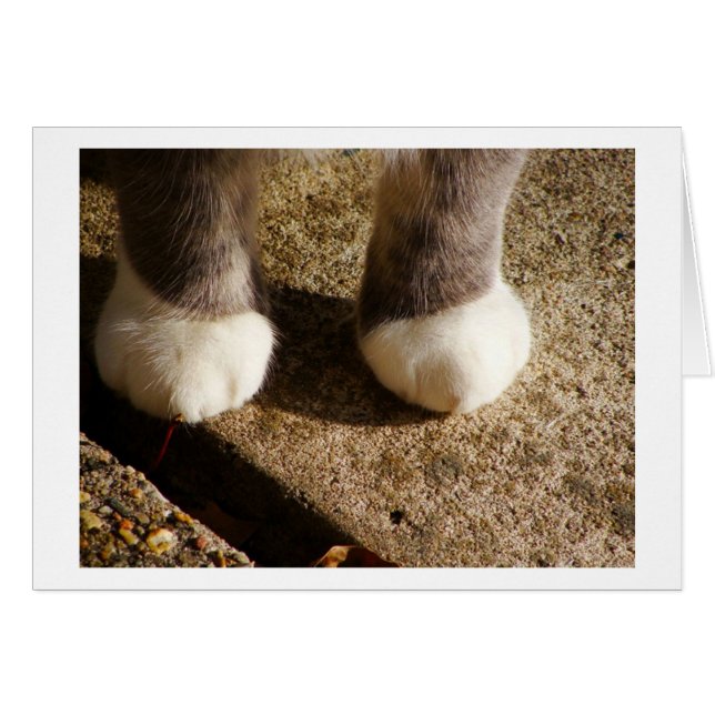 一致のソックス (正面横)