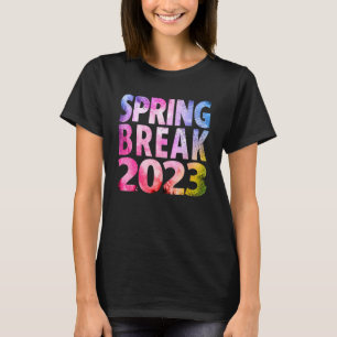 一致グループばね破断2023ヴィンテージ絞り染め1 Tシャツ