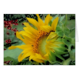 一般公開日-ヒマワリ