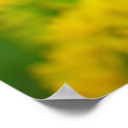 一般向け ポスター (角)