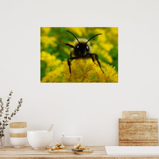 一般向け ポスター (キッチン)