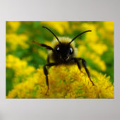 一般向け ポスター (正面)