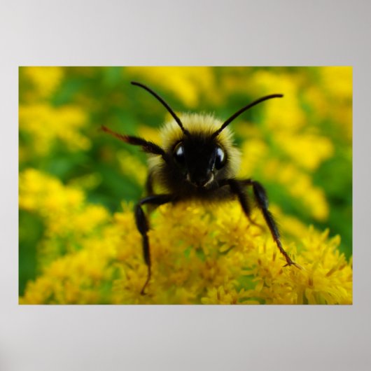 一般向け ポスター (正面)