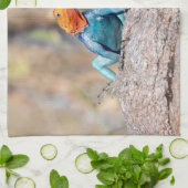 一般的なアガマ キッチンタオル (折り畳み)