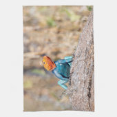 一般的なアガマ キッチンタオル (縦)