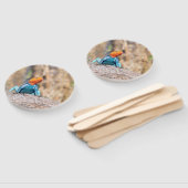 一般的なアガマ ハンドファン (組立なし)