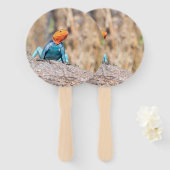 一般的なアガマ ハンドファン (正面&裏面)