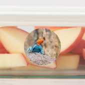 一般的なアガマ ラベル (貼付)